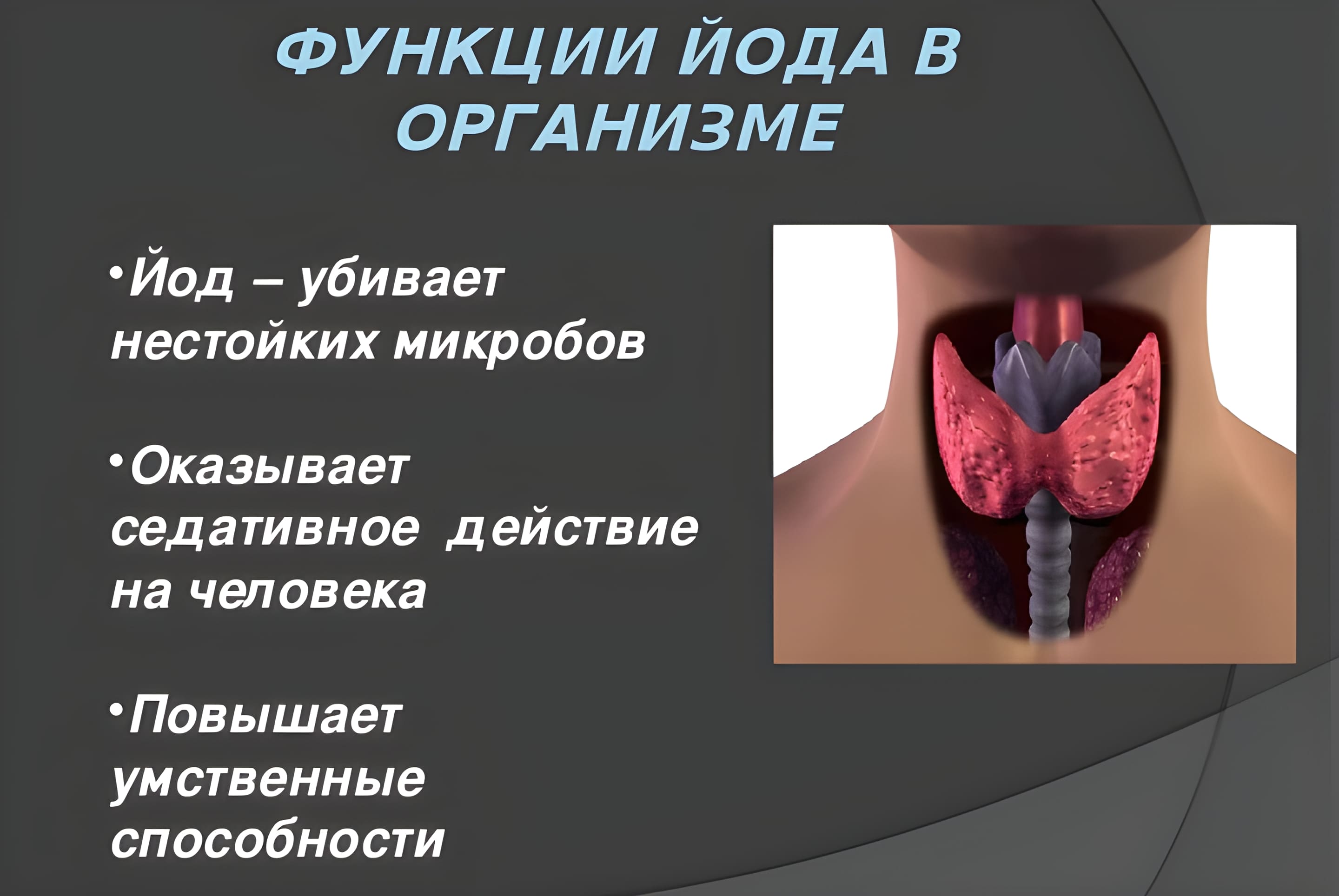 Щитовидная железа йод фтор. Йод в организме человека. Влияние йода на организм человека. Роль йода в организме человека. Содержание йода в организме.